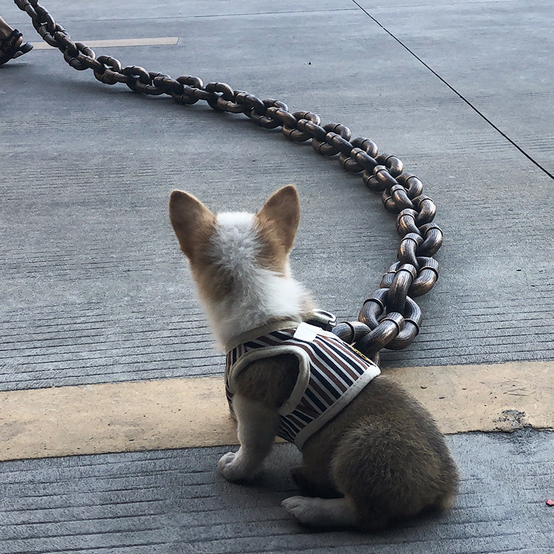 Tough and funny dog leash - Pawchic