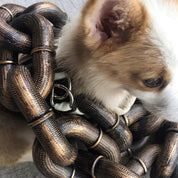 Tough and funny dog leash - Pawchic