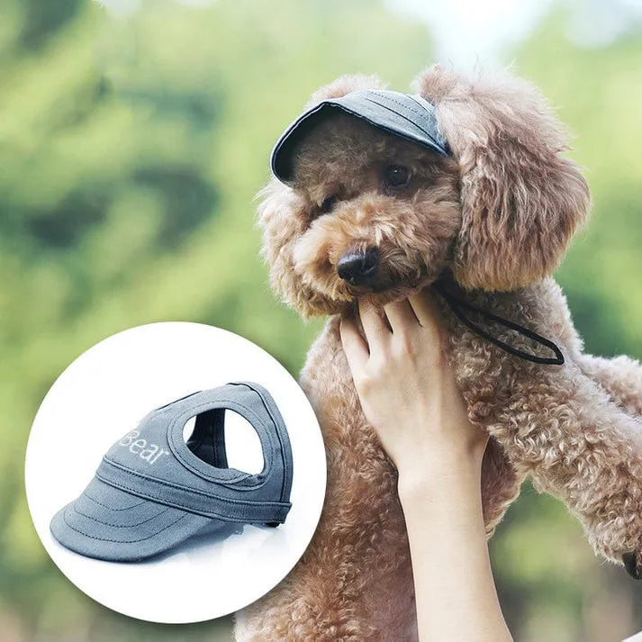Dogs Solar Cet For UV protection