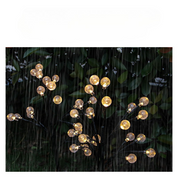 Solar Wild Fennel Lights - 6-Pack Solar Garden Lights with 15 Warm White LEDs-6