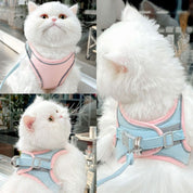 Cat harness - Oscar