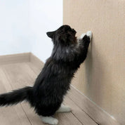 Luxury crab mat for happy cats - Scratchhaven