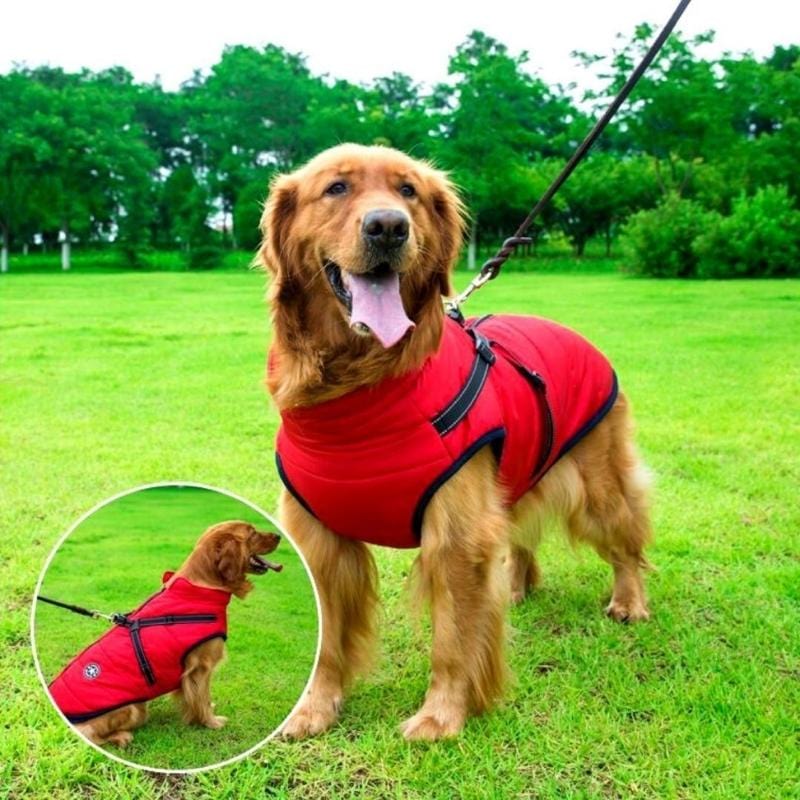 Buddypro ™ - Waterproof dog coat