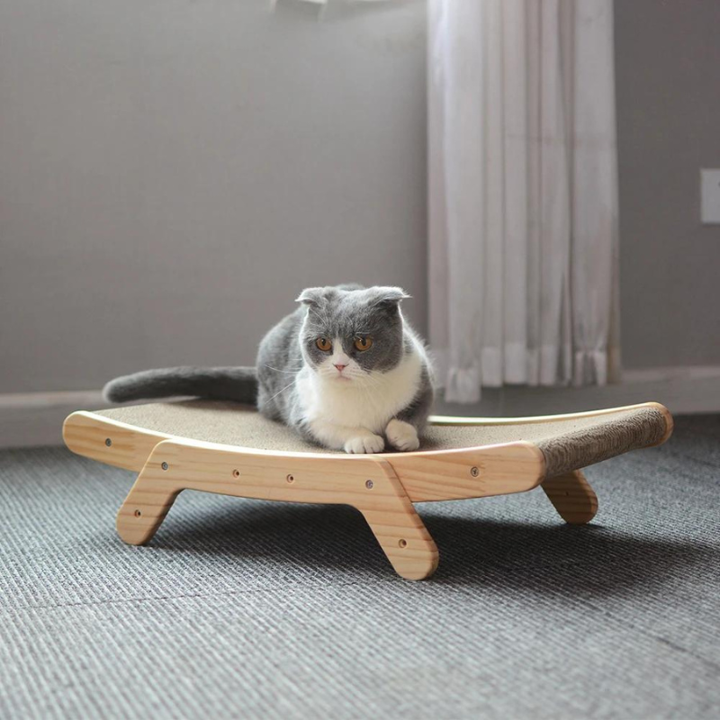 Cats Krabbed - Luna