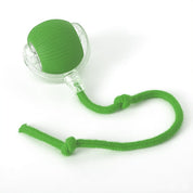 Interactive hunter for cats - Pouncepal