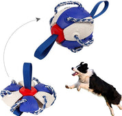 Dog Chewing Ball ™