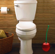 Cherry-shaped toilet brush with ergonomic handle