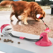 Sturdy Dog Stretching - PlayPaw