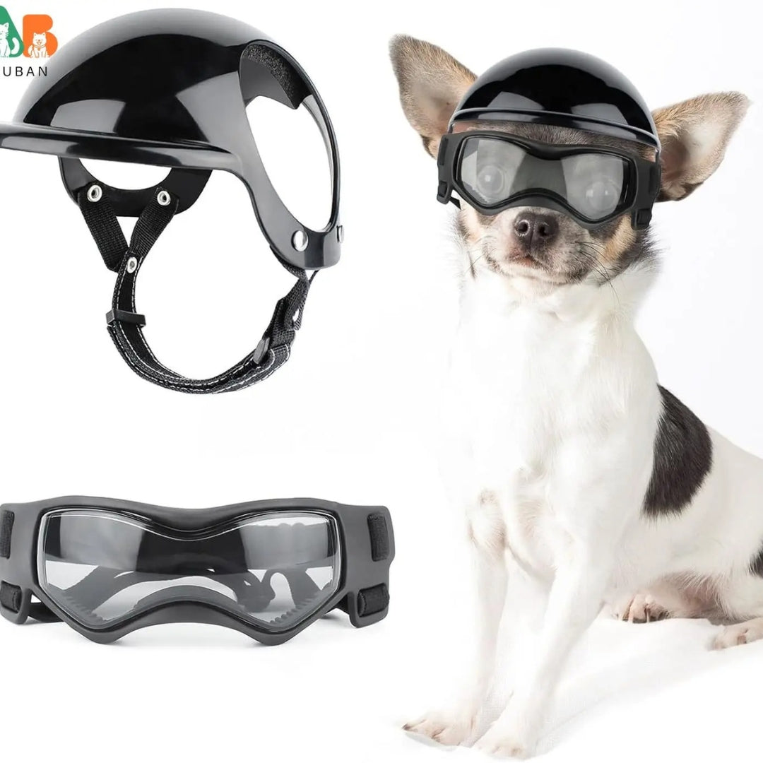 Dog helmet and glasses - Riderpaw