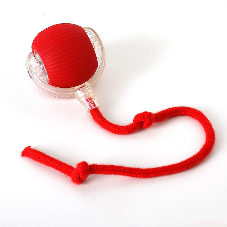Interactive hunter for cats - Pouncepal