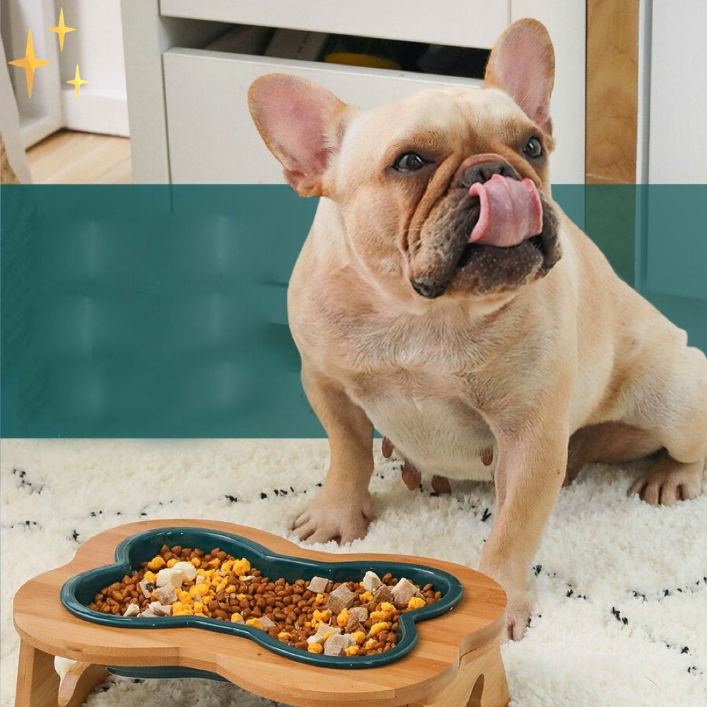 Ceramic dog food bowl with wooden elevation - Bonefeast