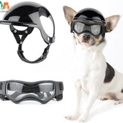 Dog helmet and glasses - Riderpaw