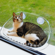 Window window for cats - Kittyview