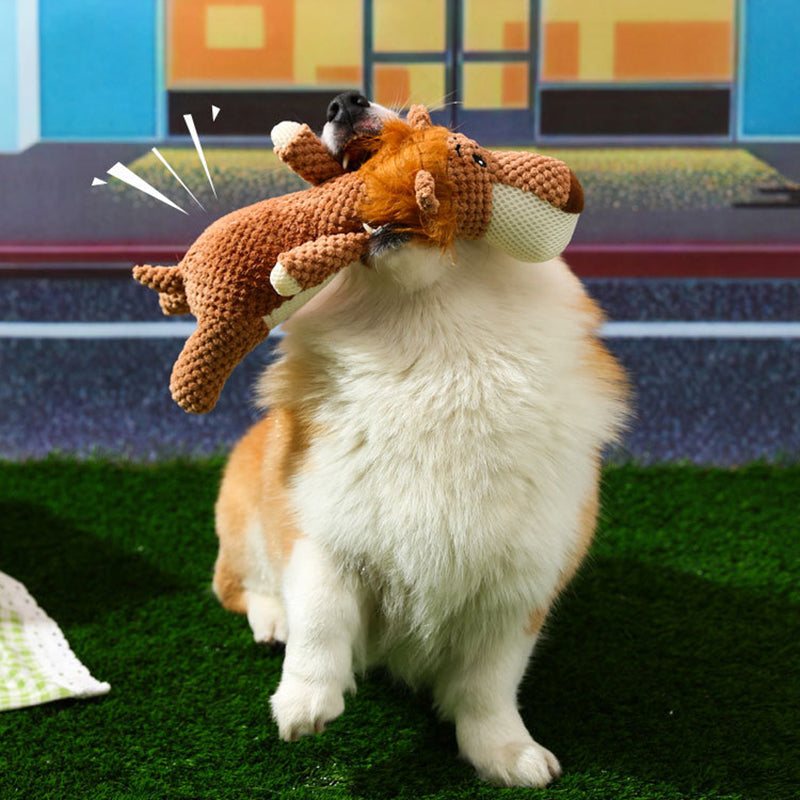Extra strong dog toys - Maximus