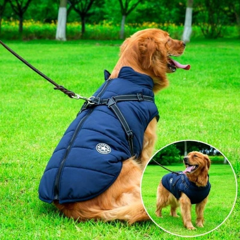 Buddypro ™ - Waterproof dog coat