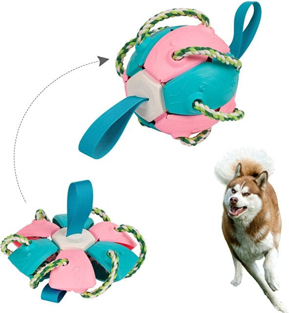 Dog Chewing Ball ™