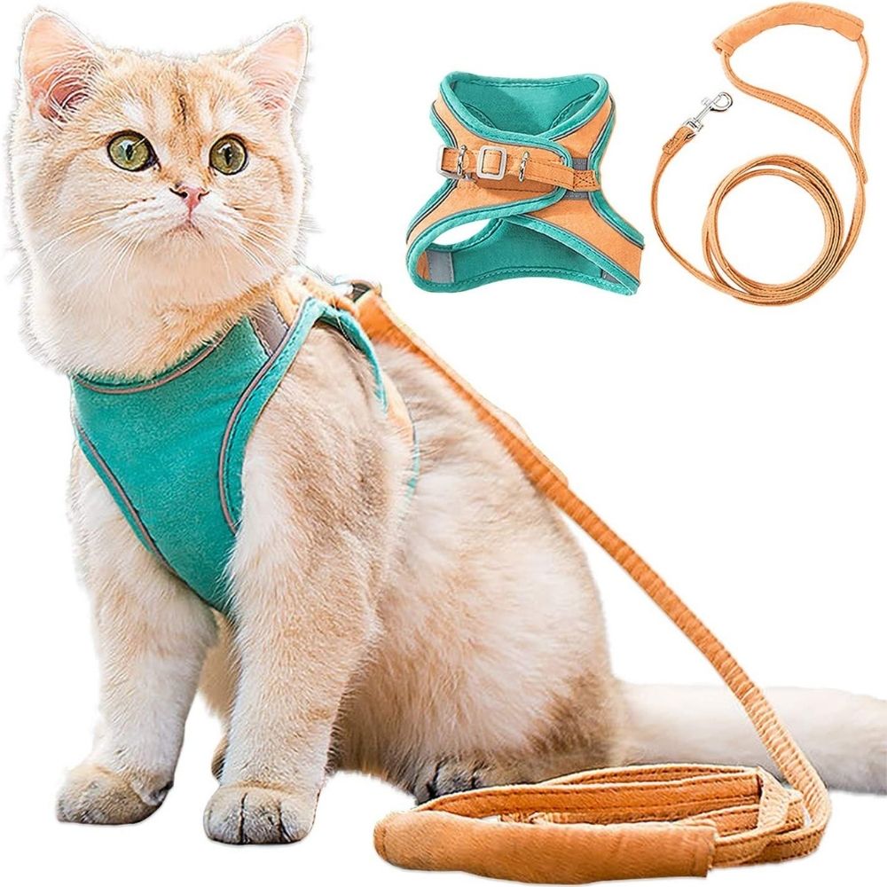 Cat harness - Oscar