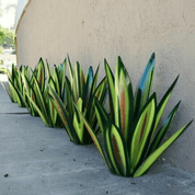 Handmade Waterproof Solar Agave Garden Lamp – Elegant Outdoor Solar Lights for Garden Illumination-3