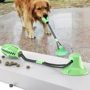 Sturdy Dog Stretching - PlayPaw