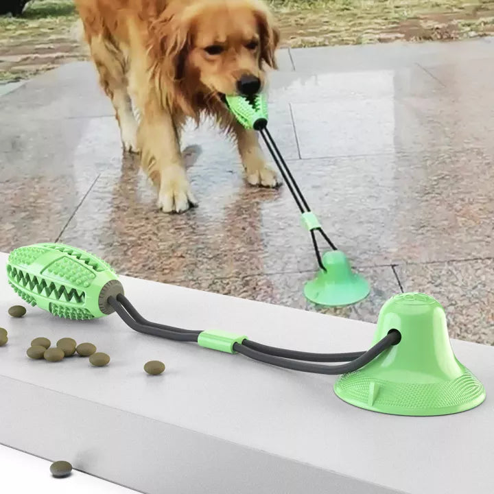 Sturdy Dog Stretching - PlayPaw