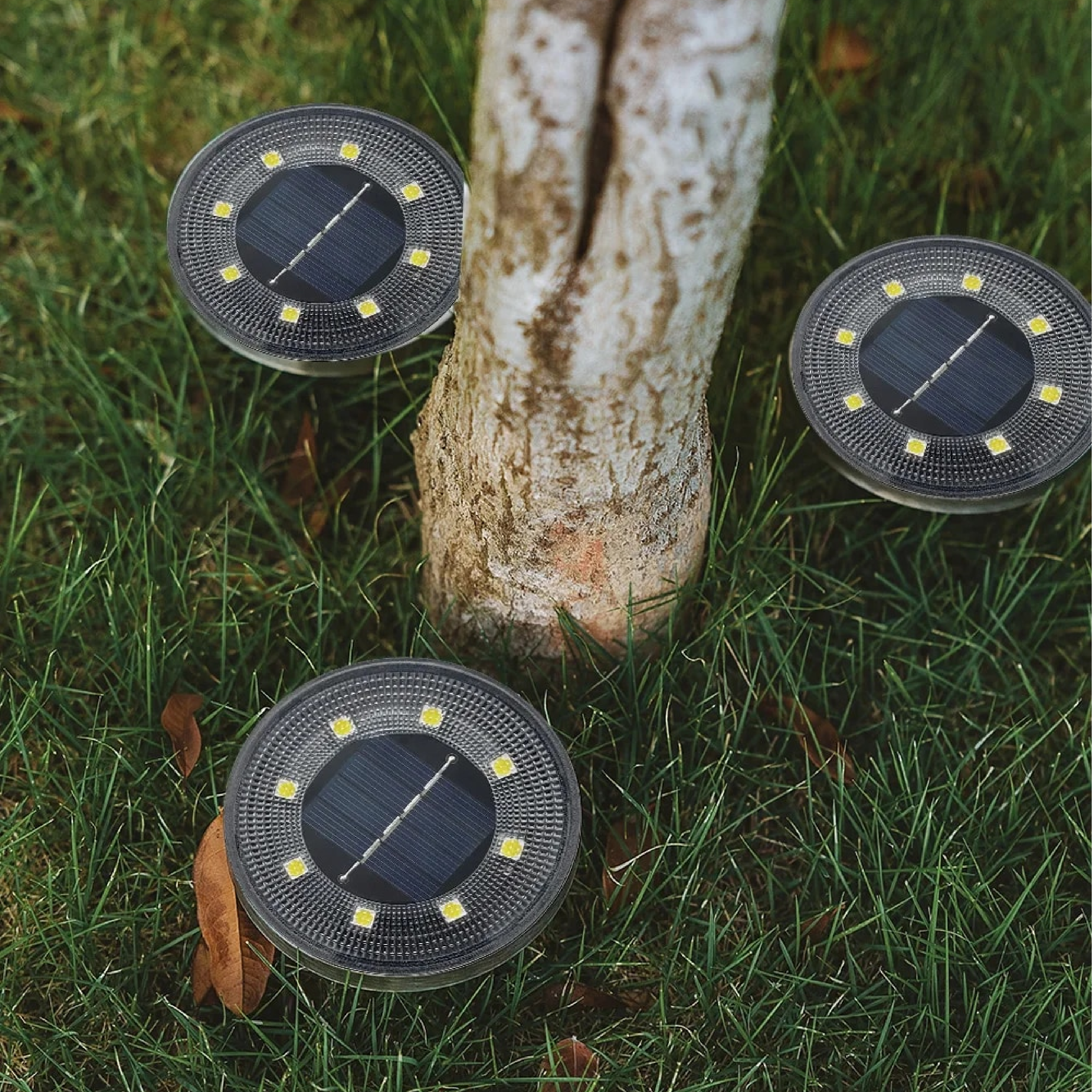 Solar Garden Lights - Waterproof Outdoor LED Lighting for Eco-Friendly Illumination-6
