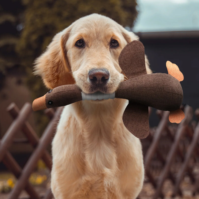 Indestructible dog toy (1+1 free) - Toughgoose