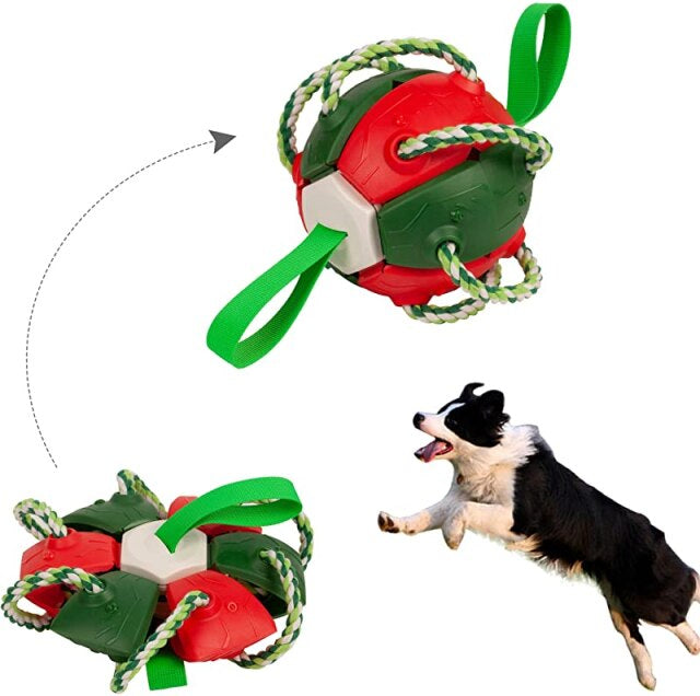 Dog Chewing Ball ™