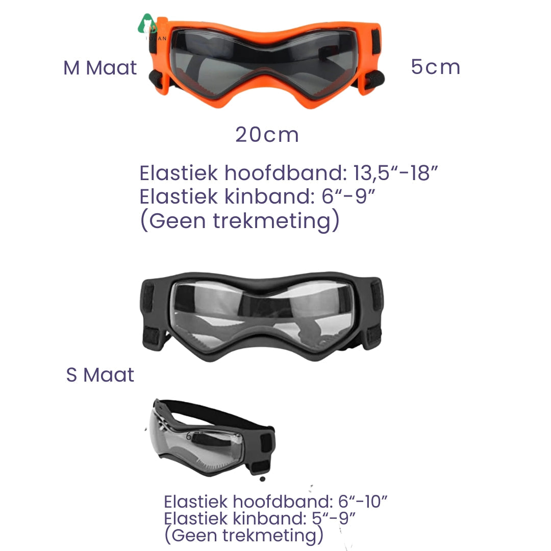 Dog helmet and glasses - Riderpaw