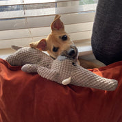 Extra strong dog toys - Maximus
