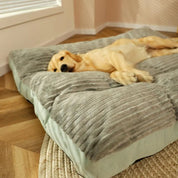 Orthopedic dog cushion with removable cover - Snugglerest