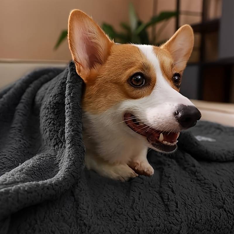 Soft puppy blanket - Snugglefur Fleece