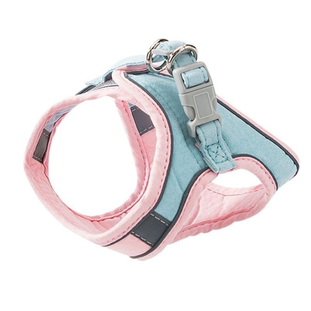 Cat harness - Oscar