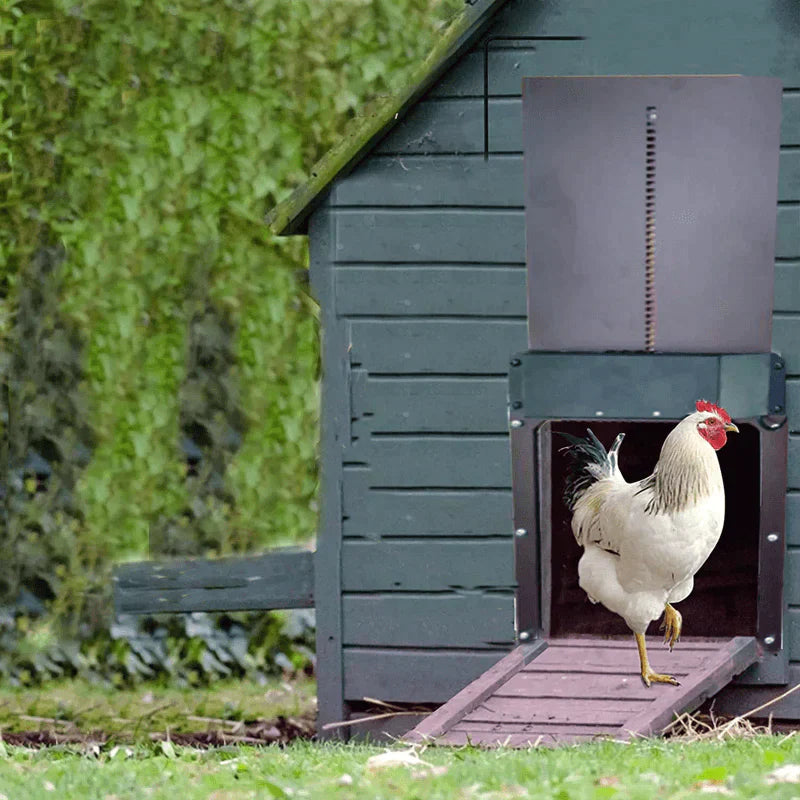 Functional automatic chicken room door