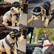 Dog helmet and glasses - Riderpaw