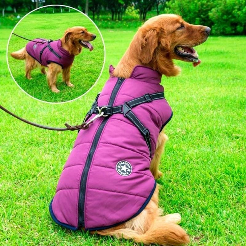 Buddypro ™ - Waterproof dog coat