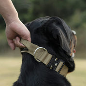 Tactical dog collar with handle - Powergrip