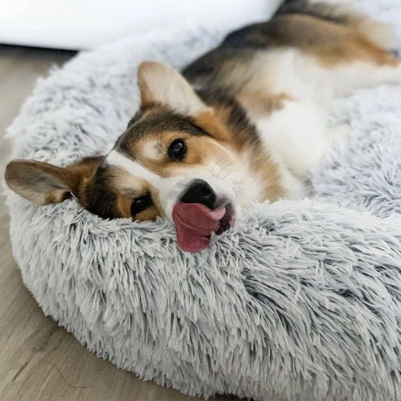 Fluffy Calming Bed ™