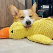 Interactive dog toy with sound & tooth cleaning - Flappyduck