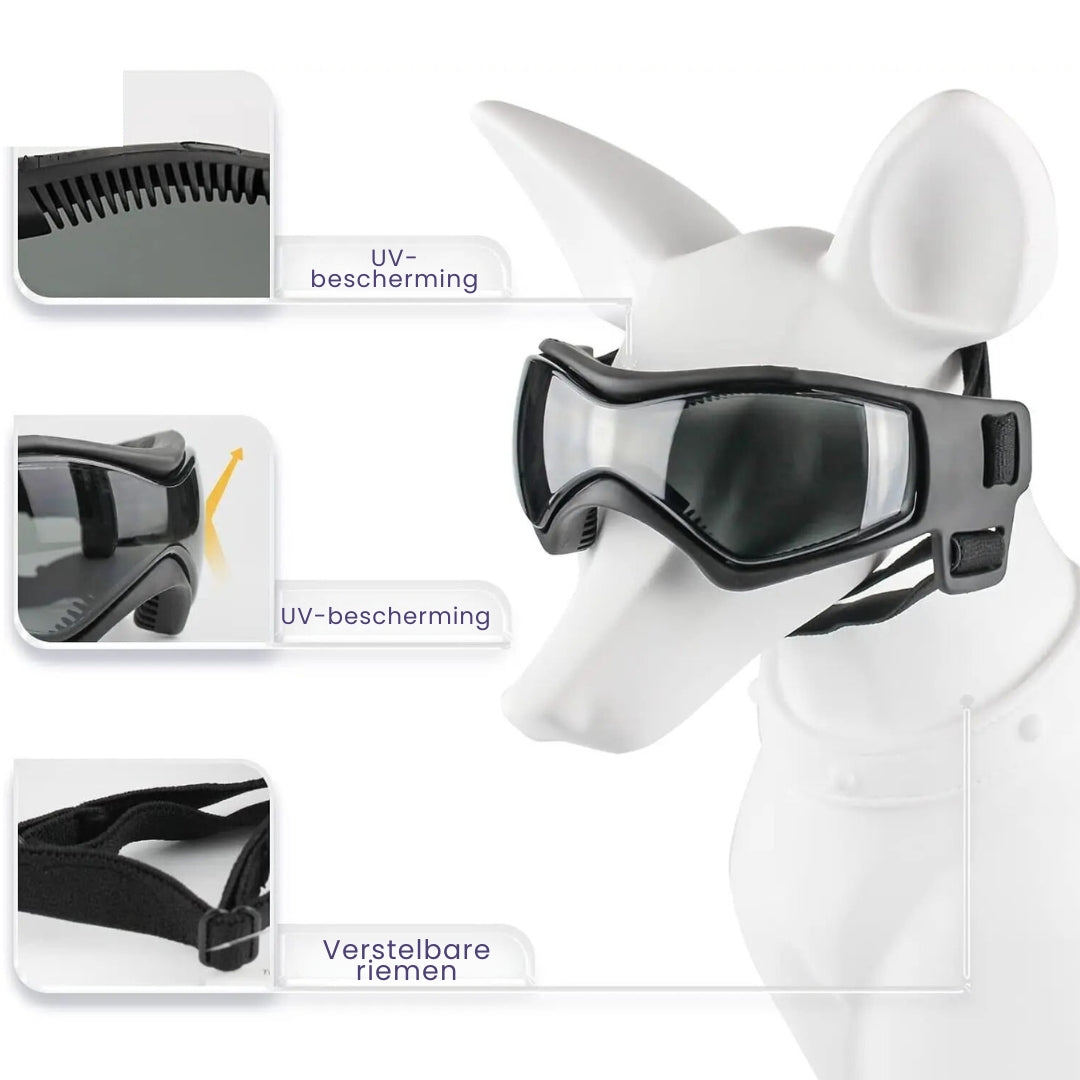 Dog helmet and glasses - Riderpaw