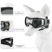 Dog helmet and glasses - Riderpaw