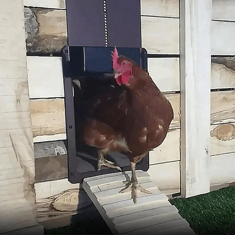 Functional automatic chicken room door
