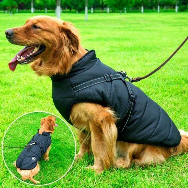 Buddypro ™ - Waterproof dog coat