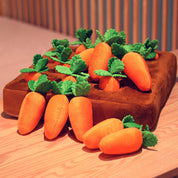 Interactive search toys - Speurtneus Worteltuin