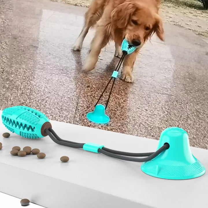 Sturdy Dog Stretching - PlayPaw