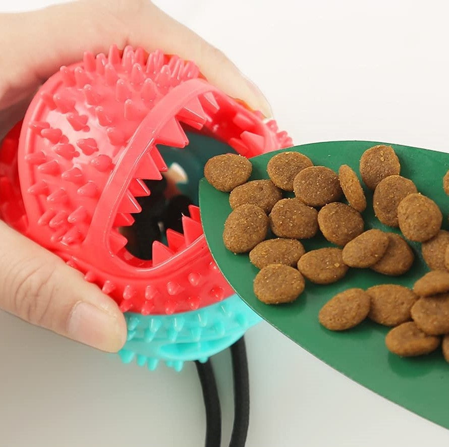 Sturdy Dog Stretching - PlayPaw