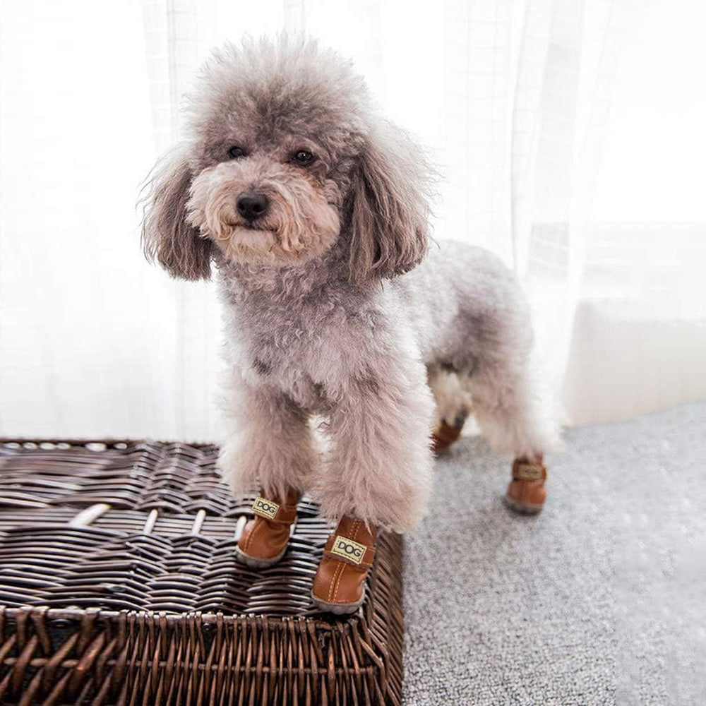 Warm dog snow boots - Snowpaws