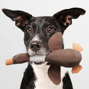 Indestructible dog toy (1+1 free) - Toughgoose