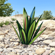 Variant image for Green