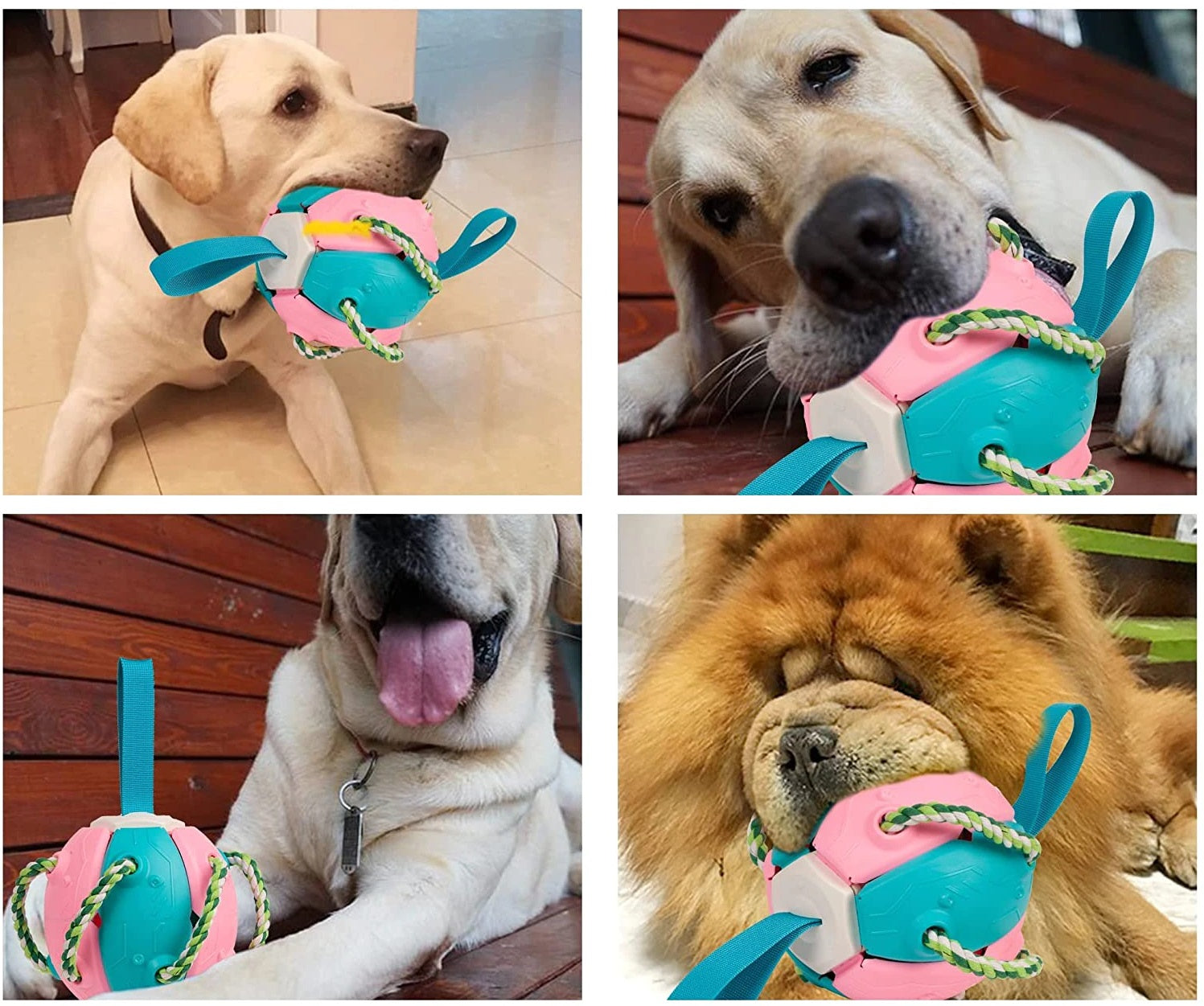 Dog Chewing Ball ™
