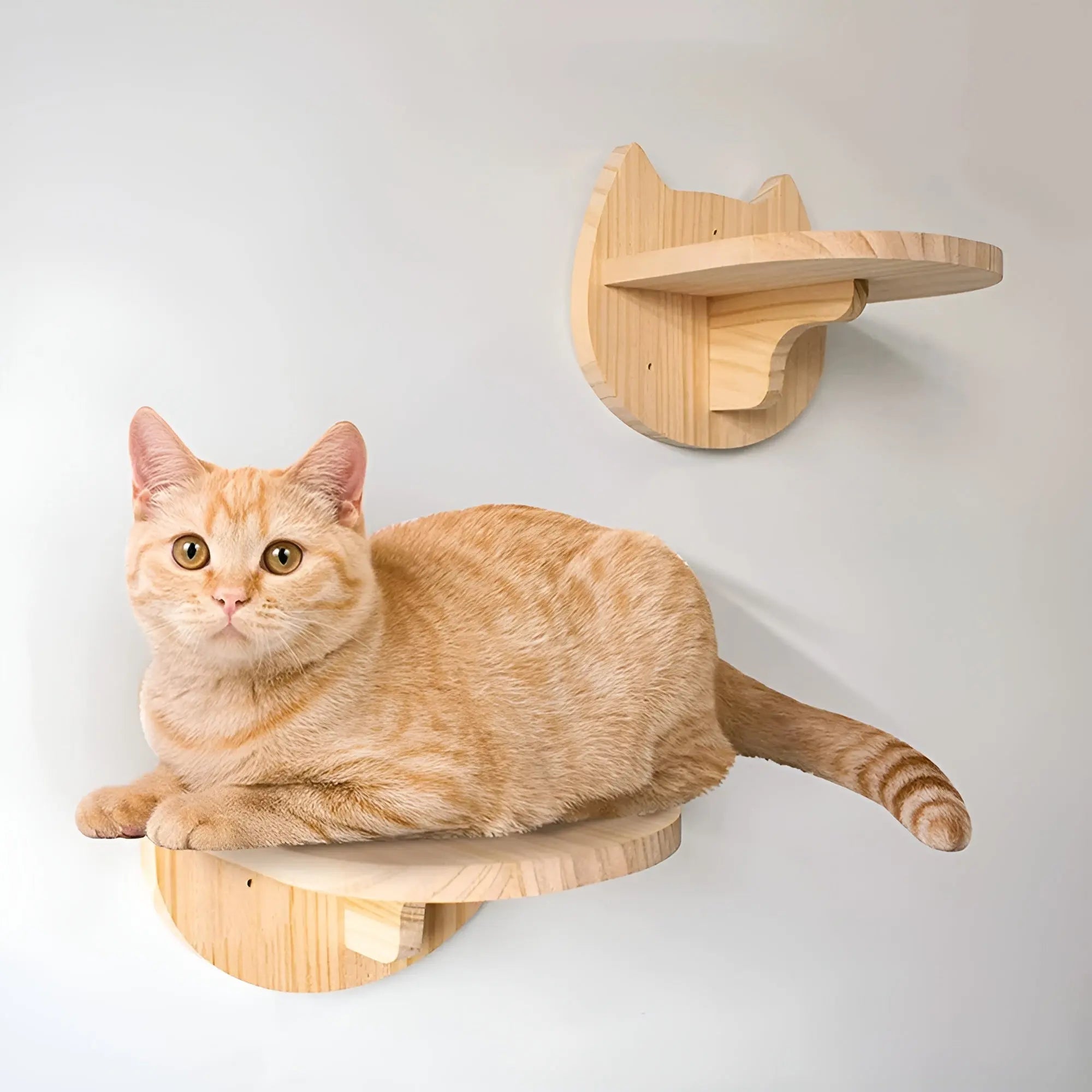 Wall climbing board for cats with scratching post - Climbpaws